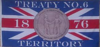 Treaty 6 Flag